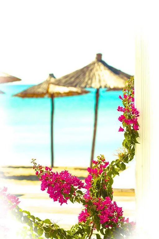 Bouganvillia Homes Nikiti  Apartment